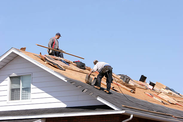 Best Roof Insulation Installation  in Duchesne, UT