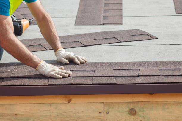 Best Roof Moss and Algae Removal  in Duchesne, UT